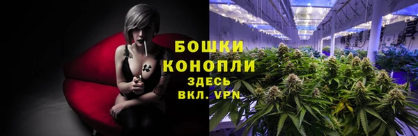 ГАЛЛЮЦИНОГЕННЫЕ ГРИБЫ Заводоуковск