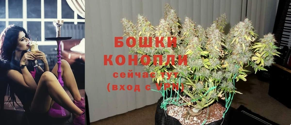 ГАЛЛЮЦИНОГЕННЫЕ ГРИБЫ Заводоуковск