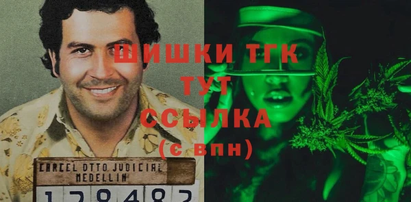 ГАЛЛЮЦИНОГЕННЫЕ ГРИБЫ Заводоуковск