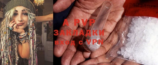 ГАЛЛЮЦИНОГЕННЫЕ ГРИБЫ Заводоуковск