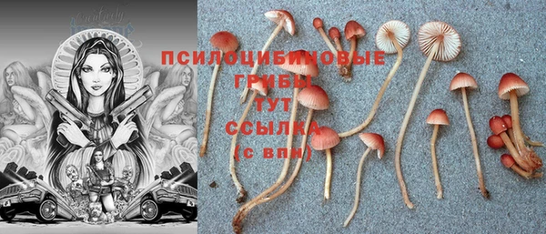 амфетамин Заволжск